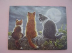 画像1: ラング　ノートカード (CAT WHISPERERS)